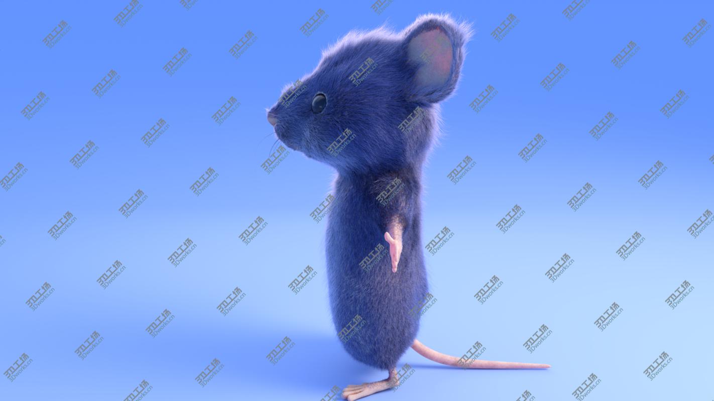 images/goods_img/2021040231/3D Mouse - Cartoon style - Grey fur - rigged model/5.jpg